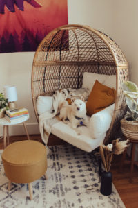Piper, a cream white shiba inu, is sitting on an egg chair in a cozy little reading nook. There is a side table with a lamp and a stack of books on it, and a yellow foot stool.
