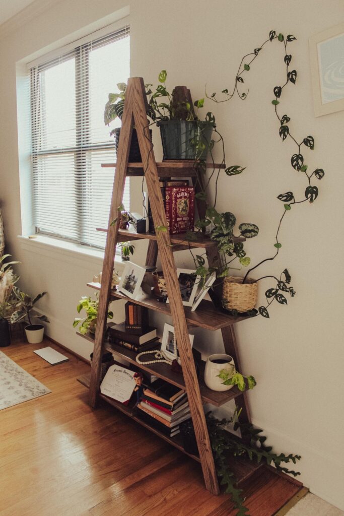 A wood ladder shelf is set up next to a window. On the shelf are various decorative elements, such as candles, photographs, journals, and plants. A monstera adansonii plant is clipped to the wall and climbing up it, secured by green plant clips.