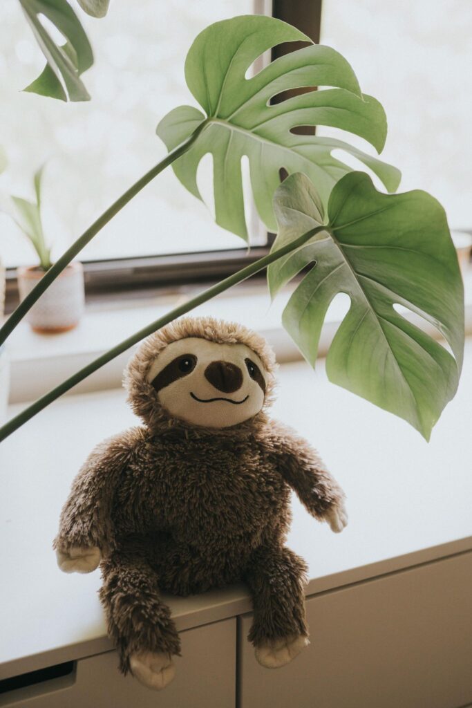 A Sloth Warmie is sitting on a dresser next to a window with plant leaves above it.